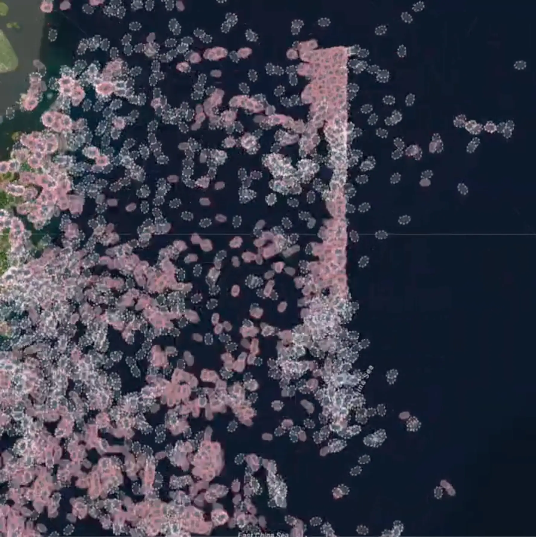 Red and white blots are scattered across a map of the East China Sea, with many of the blots forming a long line from north to south.
