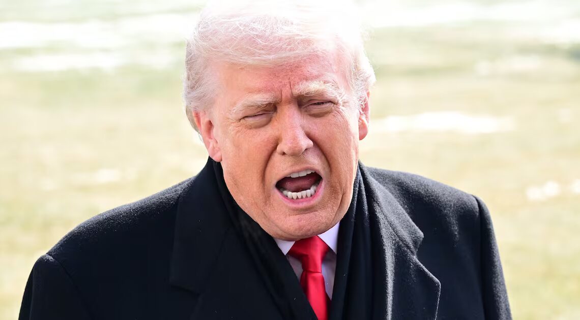 Trump Ally Shocked at President’s ‘Psychological State’ in Private Meeting