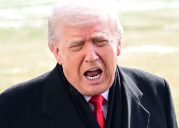 Trump Ally Shocked at President’s ‘Psychological State’ in Private Meeting