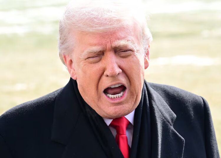 Trump Ally Shocked at President’s ‘Psychological State’ in Private Meeting