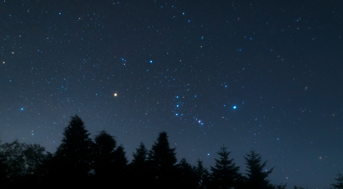 7 Constellations Even Beginners Can Find in the Winter Sky