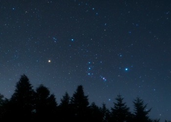 7 Constellations Even Beginners Can Find in the Winter Sky