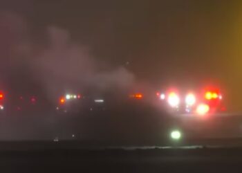 One Survivor Seriously Injured as Plane Crash Kills Seven