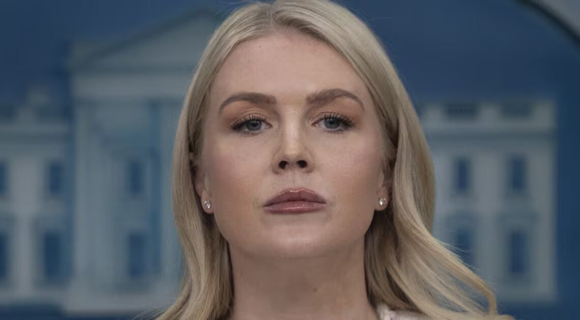 Leavitt Loses It on Reporter Who Fact-Checked Trump