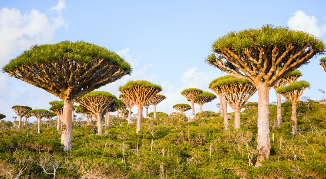 8 Very Real Places You Can Visit That Look Like Another Planet