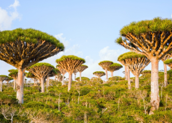 8 Very Real Places You Can Visit That Look Like Another Planet