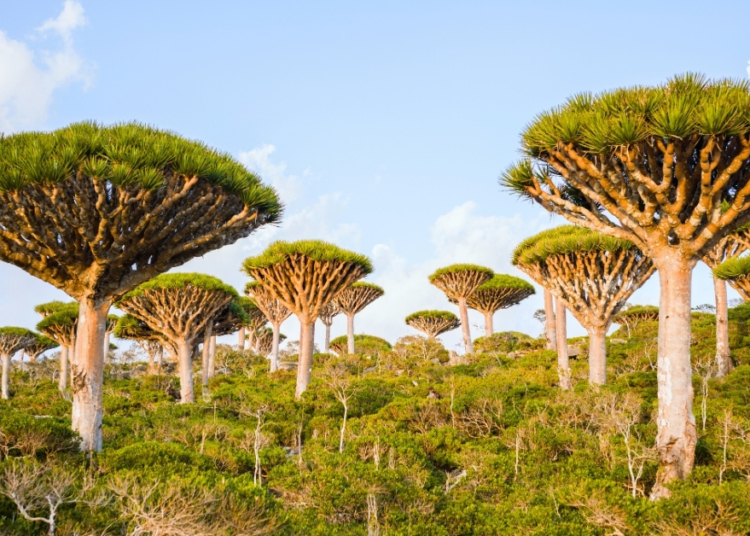 8 Very Real Places You Can Visit That Look Like Another Planet