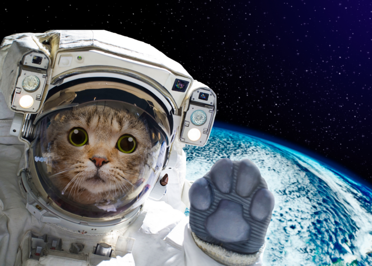 8 Space Facts That Will Make You Feel Like You’re Living Inside a Glitch