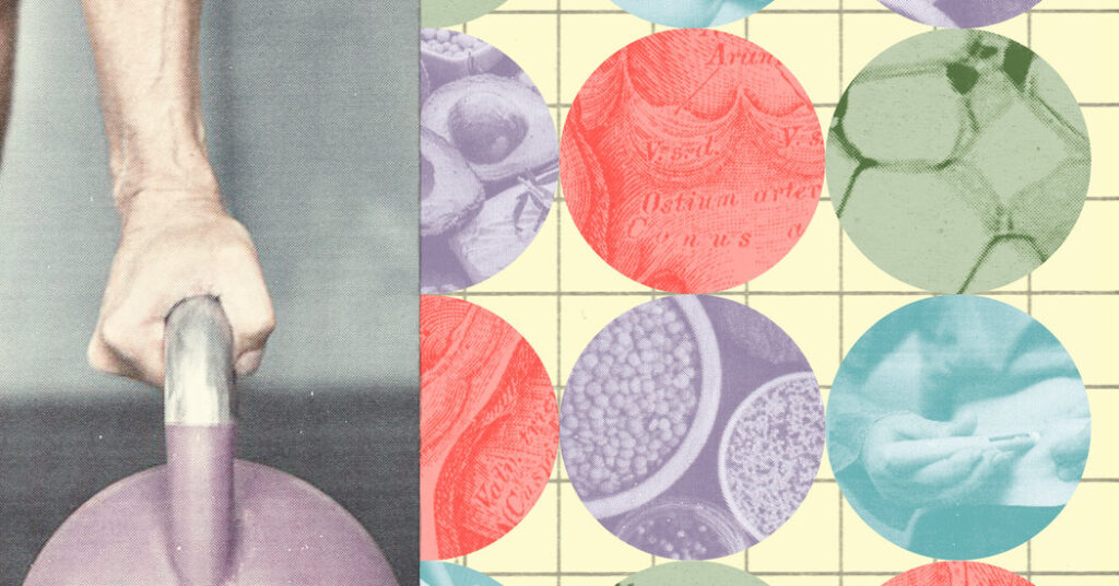 What Is ‘Metabolic Health,’ and Why Does It Matter?