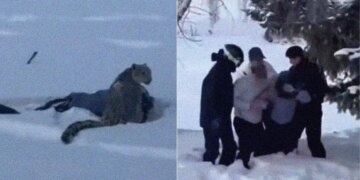 A Woman Tried to Take a Selfie With a Snow Leopard. She Almost Lost Her Face.