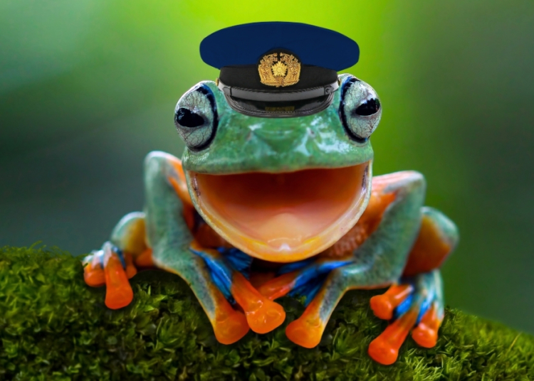 An AI-Generated Police Report Claimed a Cop Transformed Into a Frog
