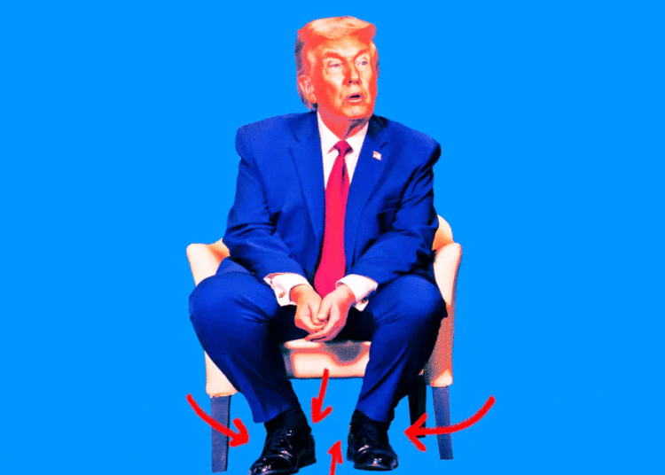 Trump, 79, Flaunts Cankles In Front of World Leaders