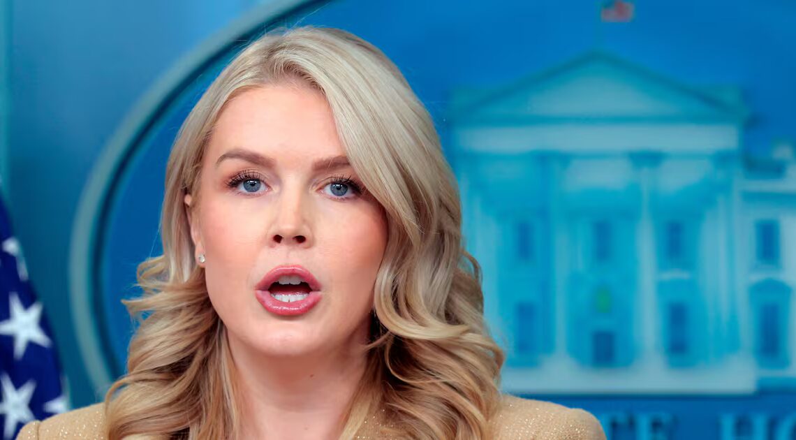 Leavitt Gives Unhinged Reason for Trump Saying ‘Cancel Midterms’