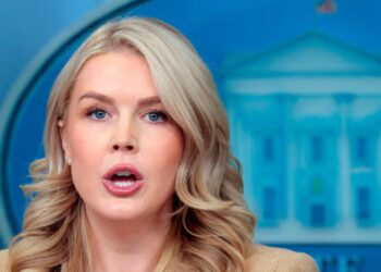 Leavitt Gives Unhinged Reason for Trump Saying ‘Cancel Midterms’