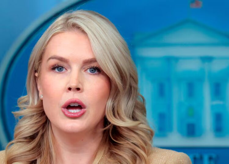 Leavitt Gives Unhinged Reason for Trump Saying ‘Cancel Midterms’