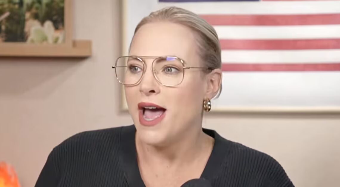 Meghan McCain Under Fire for Tasteless Jab at Dem Governor