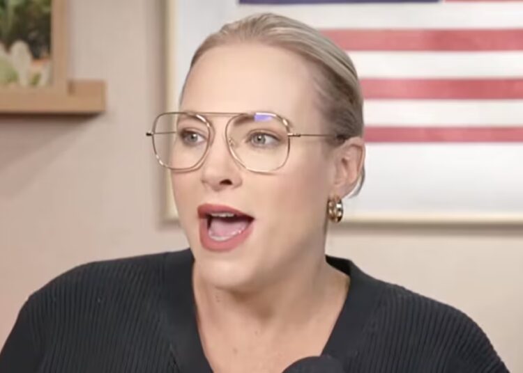 Meghan McCain Under Fire for Tasteless Jab at Dem Governor