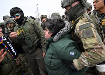 ICE tactics and training under scrutiny after Minneapolis shooting