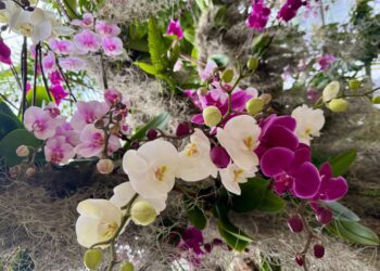 The 23 best things to do in D.C. this weekend and next week