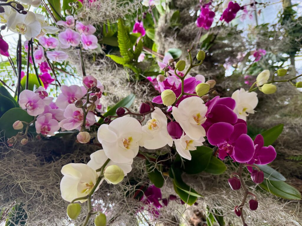 The 23 best things to do in D.C. this weekend and next week