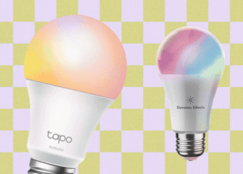 The Smart Light Bulbs Worth Buying in 2026: Cync, Meross, Tapo