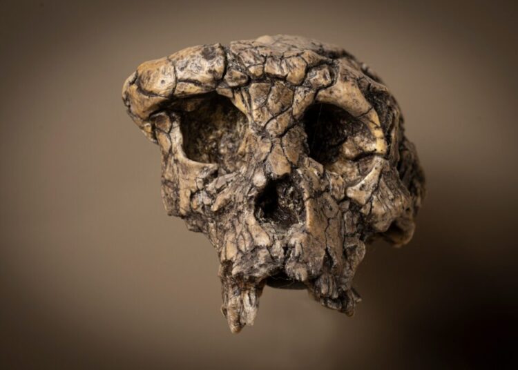 When did humanity take its first step? Scientists say they now know.