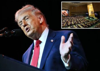 Trump pulls US out of ‘racist’ UN forum that pushed ‘global reparations agenda’