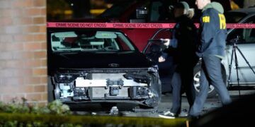 Oregon officials launch probe after Border Patrol agents shoot 2 in Portland