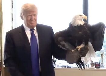 Trump, 79, Starts Bizarre Bald Eagle Crusade in Bid to Move on From Health Scrutiny