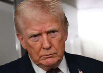 Jan. 6 Pipe Bomb Suspect Admits He’s Serial Trump Voter