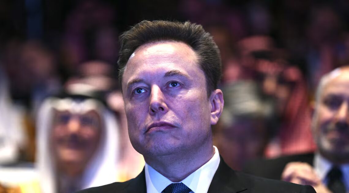 Elon Musk Fully Endorses Shocking Call for ‘White Solidarity’