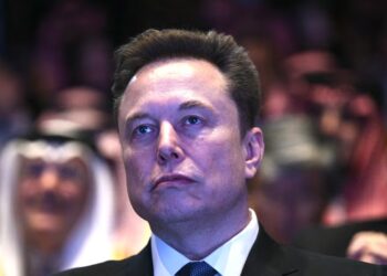 Elon Musk Fully Endorses Shocking Call for ‘White Solidarity’