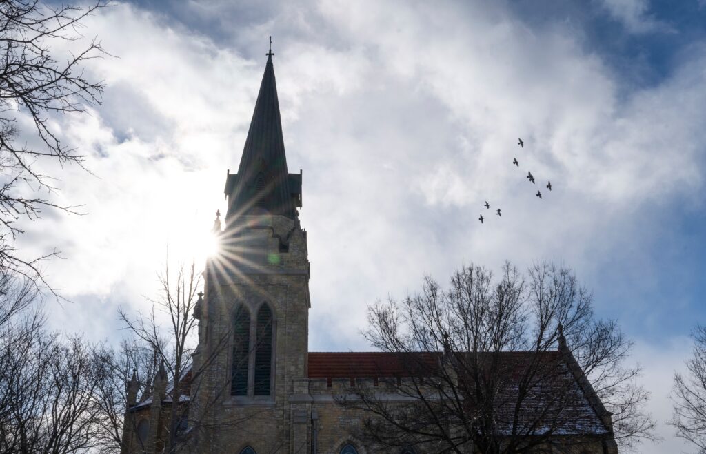 The meaning of sanctuary