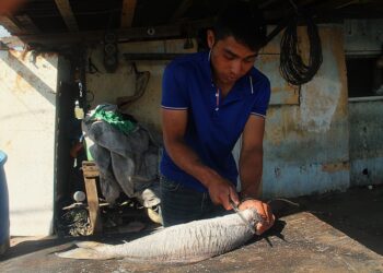 Caught between Trump and Musk’s rockets, a Mexican village despairs