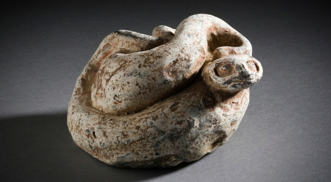 Everything We Know About the ‘Bizarre’ Ancient Snake Found in a London Museum