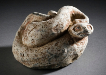 Everything We Know About the ‘Bizarre’ Ancient Snake Found in a London Museum
