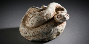 Everything We Know About the ‘Bizarre’ Ancient Snake Found in a London Museum