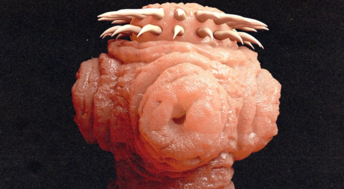 Everything We Know About the Strange New Species Discovered in the Great Salt Lake