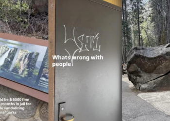Everything We Know About the Yosemite National Park Graffiti Incident