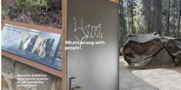 Everything We Know About the Yosemite National Park Graffiti Incident