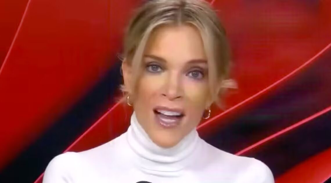 Megyn Kelly Freaks Out That ICE Will Spell Disaster for Trump