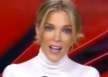 Megyn Kelly Freaks Out That ICE Will Spell Disaster for Trump