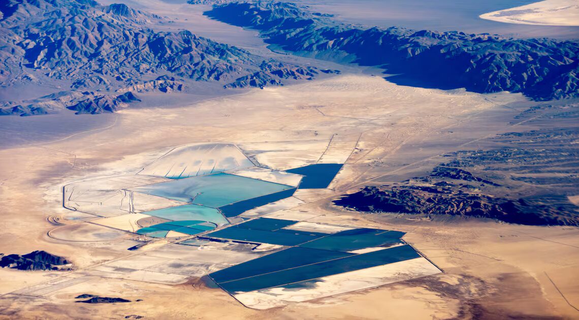 MAGA Official’s Family Busted Cashing in on Government Deals