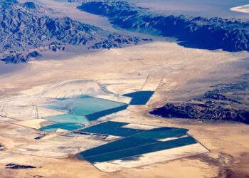 MAGA Official’s Family Busted Cashing in on Government Deals