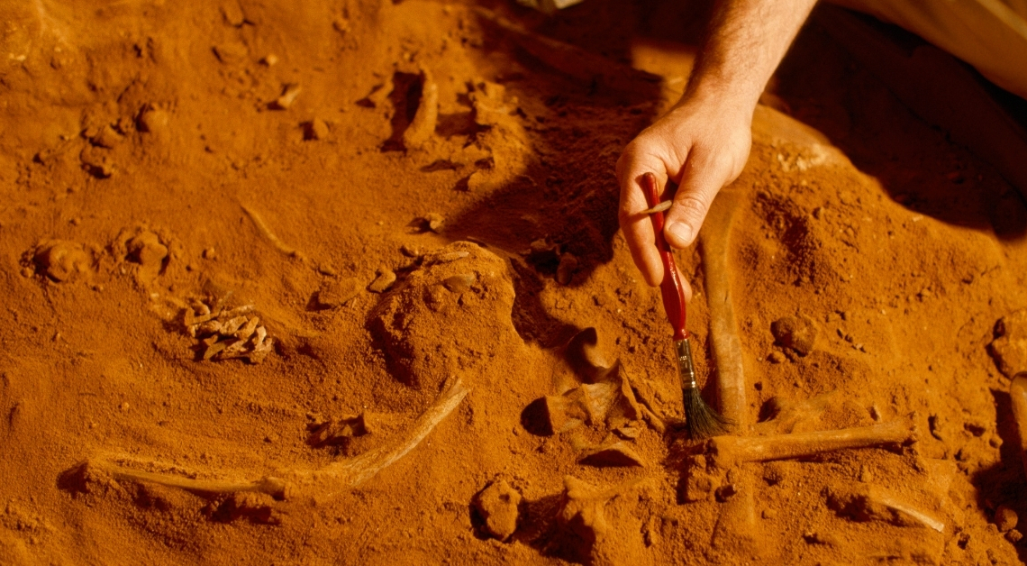 Fossils Discovered in Morocco Could Reveal Humanity’s True Origins