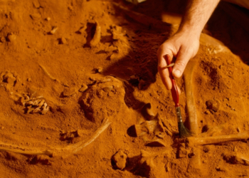 Fossils Discovered in Morocco Could Reveal Humanity’s True Origins