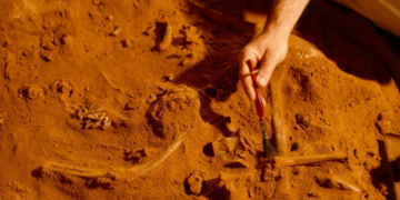 Fossils Discovered in Morocco Could Reveal Humanity’s True Origins