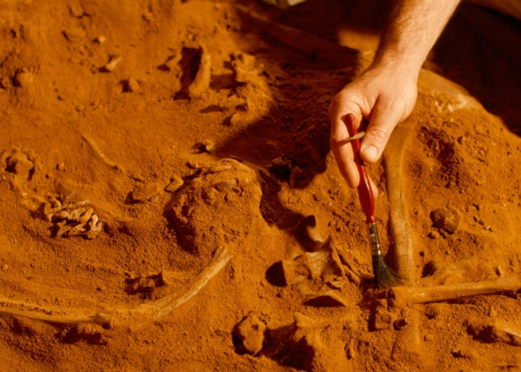 Fossils Discovered in Morocco Could Reveal Humanity’s True Origins