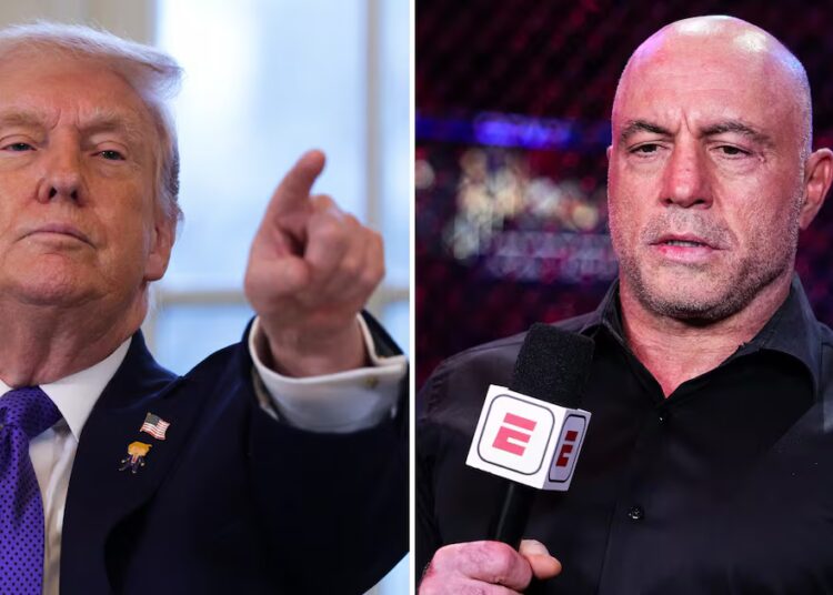 MAGA Star Admits Joe Rogan Is a ‘Problem’ for Trump