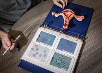 Scientists find new clues to why female fertility declines with age